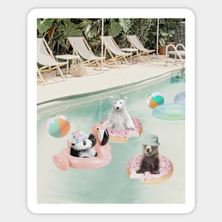 Panda Bear and White Polar Bear in the swimming pool Sticker